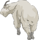 Mammal Clipart