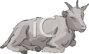 Mammal Clipart
