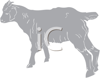Mammal Clipart