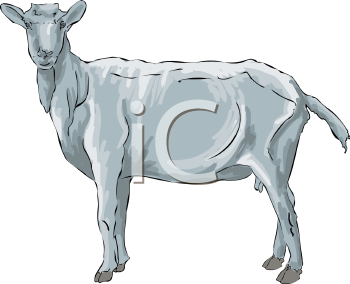 Mammal Clipart
