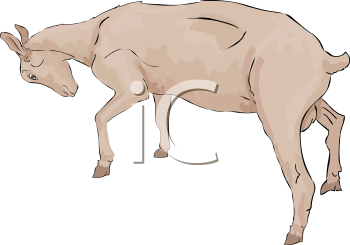 Mammal Clipart