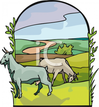 Grass Clipart