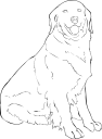 Dog Clipart