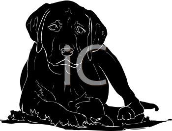 Dog Clipart
