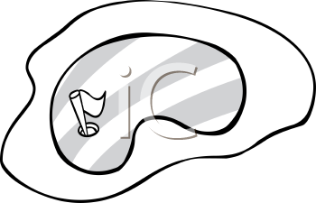 Grass Clipart