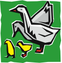 Swan Clipart
