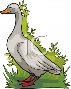 Geese Clipart