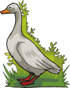 Geese Clipart