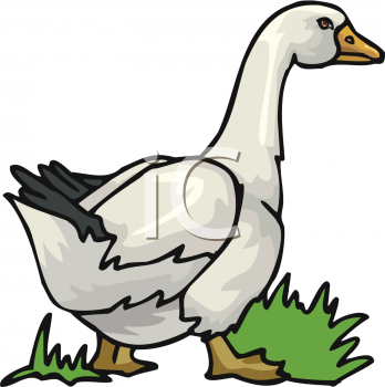 Geese Clipart