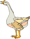 Geese Clipart
