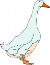 Geese Clipart