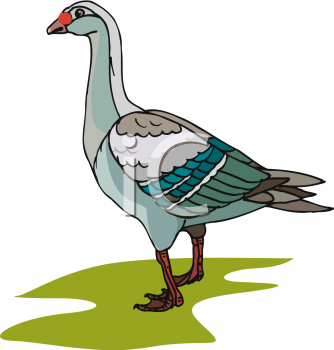 Geese Clipart