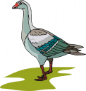 Geese Clipart
