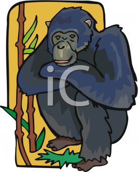 Mammal Clipart