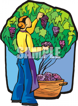 Harvest Clipart