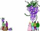 Wine Clipart