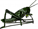 Bug Clipart