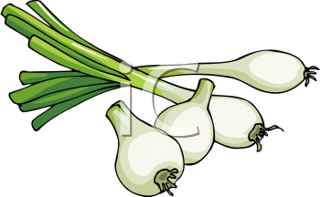 Salad Clipart