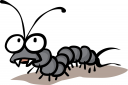 Bug Clipart