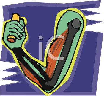 Anatomy Clipart