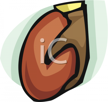 Football Clipart