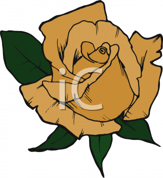 Rose Clipart