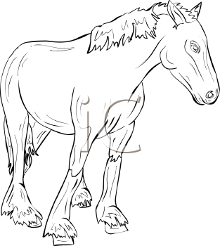 Horse Clipart