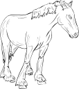 Horse Clipart