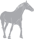 Horse Clipart