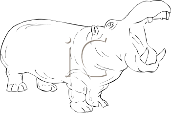 Mammal Clipart