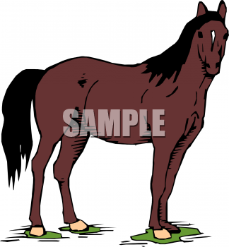 Horse Clipart