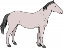 Horse Clipart