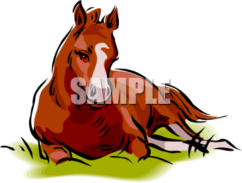 Horse Clipart