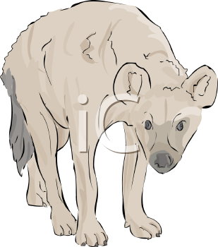 Mammal Clipart