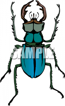 Bug Clipart