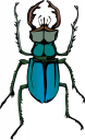 Bug Clipart