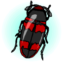 Bug Clipart