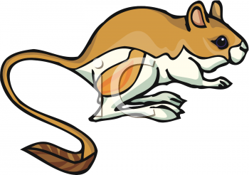 Mammal Clipart