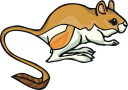Mammal Clipart