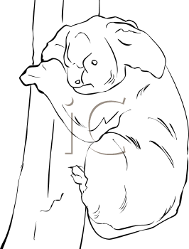 Mammal Clipart