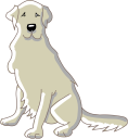Cartoon Clipart