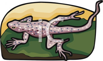 Frog Clipart