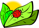 Bug Clipart