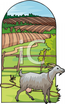 Field Clipart