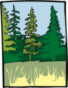Grass Clipart