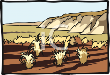 Field Clipart
