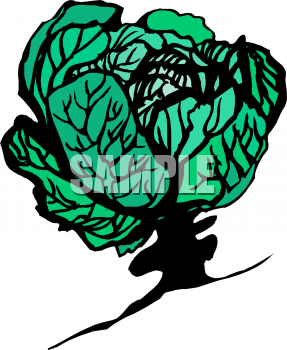 Lettuce Clipart