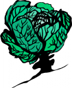 Lettuce Clipart