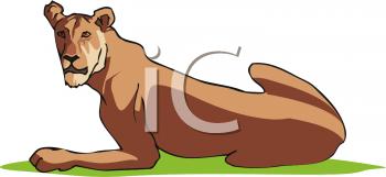 Mammal Clipart