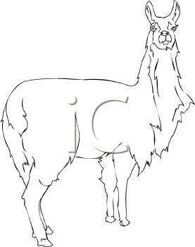 Mammal Clipart